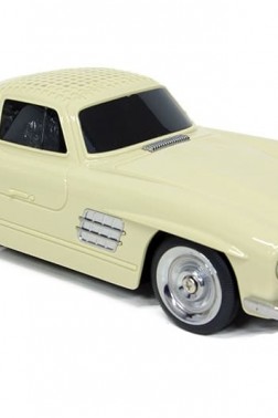 Araba Speaker WS300SL