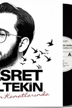 Hasret Gültekin Rüzgarın Kanatlarında 33-Lp