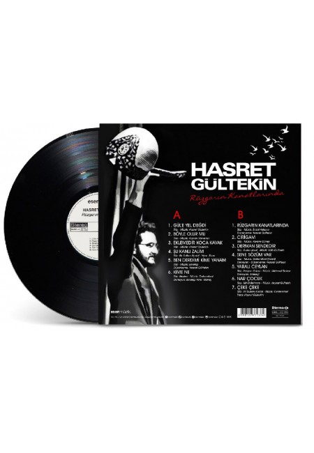 Hasret Gültekin Rüzgarın Kanatlarında 33-Lp