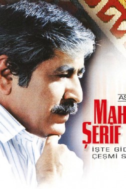 Mahsuni Şerif İşte Gidiyorum Çeşmi Siyahım 33 Lp
