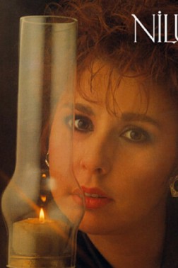 Nilüfer Geceler 33-Lp