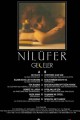 Nilüfer Geceler 33-Lp